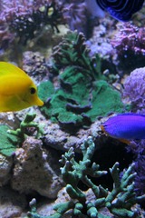 Killikus&reg; Fotographie